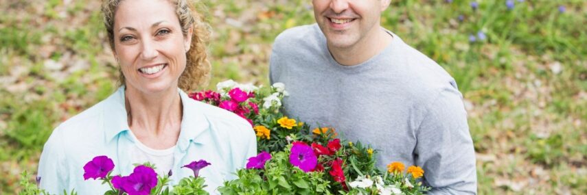 Happy domestic couple working
