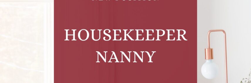 housekeeper nanny london housekeeper nanny london